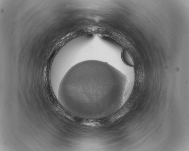 X0000087690754200706011719