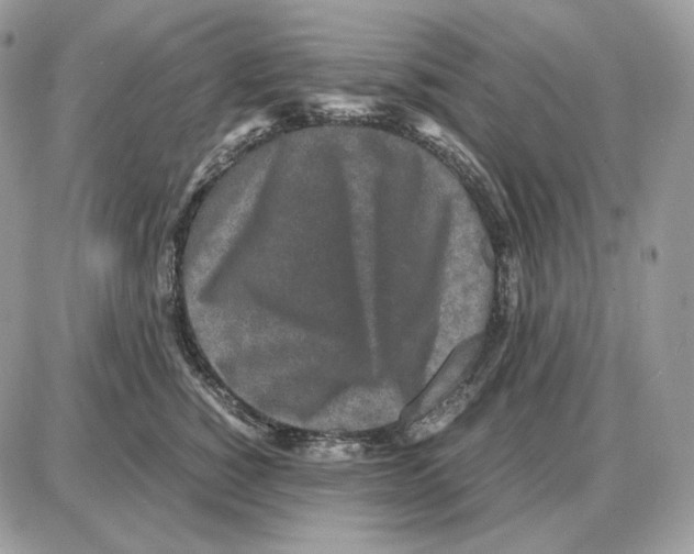 X0000087690760200706011719
