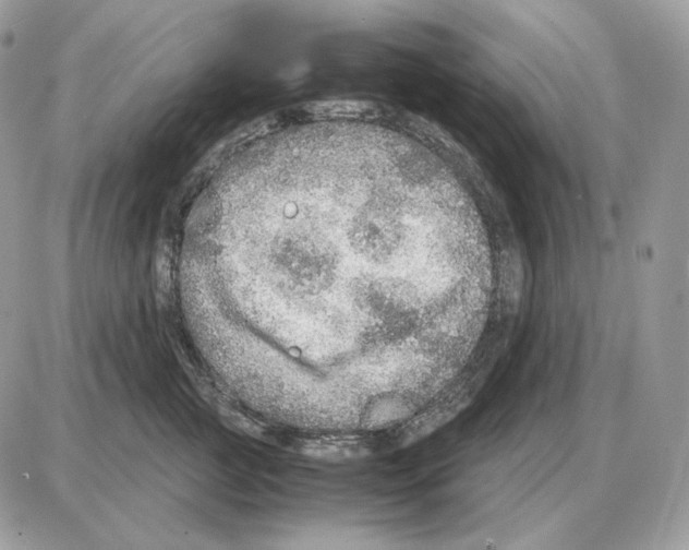 X0000087690761200706011719