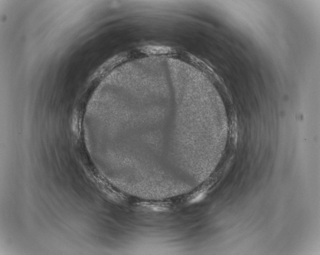 X0000087690763200706011719