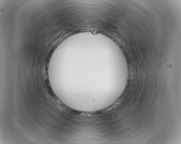 X0000087690764200706011719