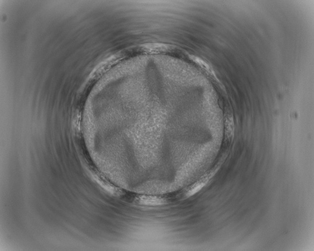 X0000087690766200706011719