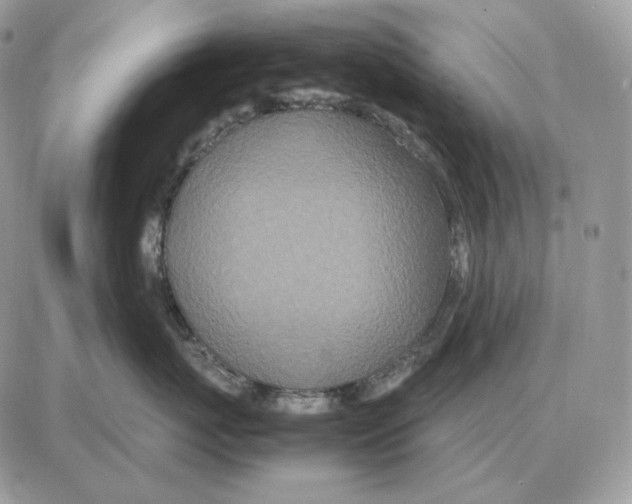 X0000087690767200706011719