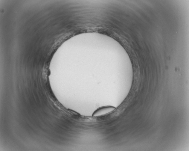 X0000087690768200706011719