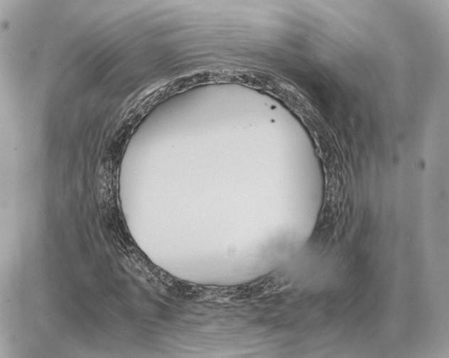 X0000087690773200706011718