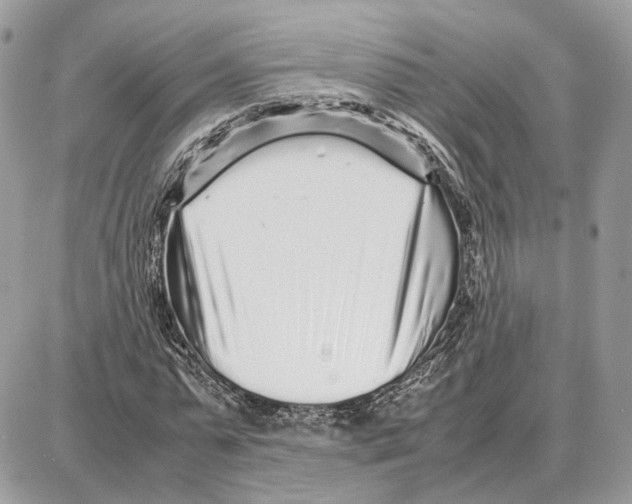 X0000087690775200706011718