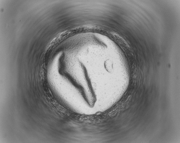 X0000087690776200706011718