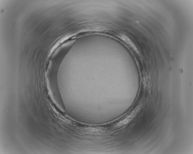 X0000087690781200706011718