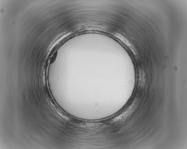 X0000087690782200706011718