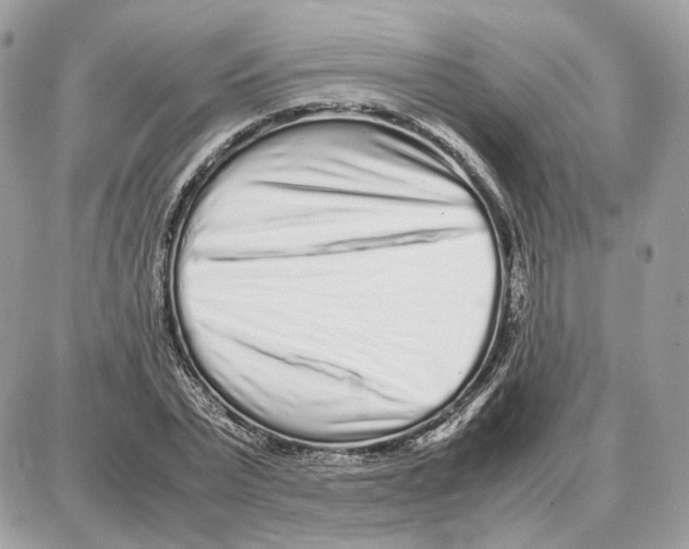 X0000087690783200706011718