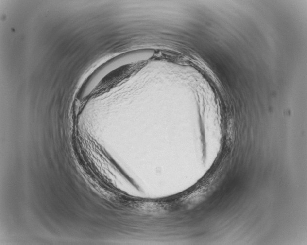 X0000087690787200706011718