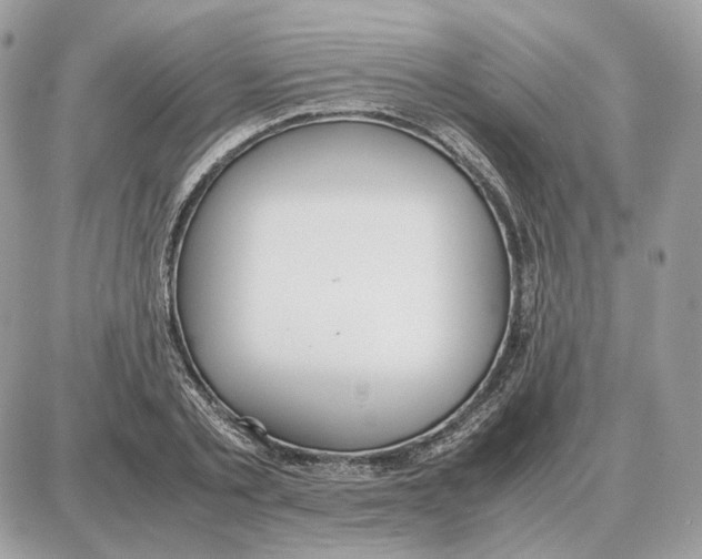 X0000087690789200706011718