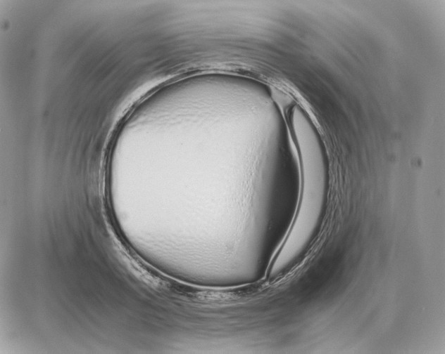 X0000087690795200706011718