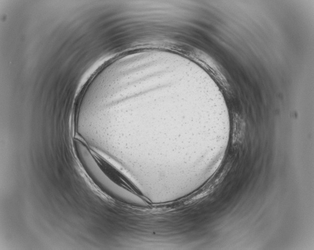 X0000087690796200706011718