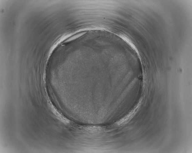 X0000087690797200706011718
