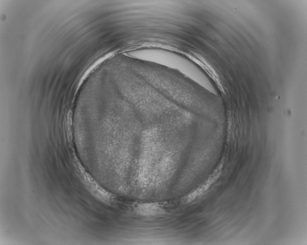 X0000087690798200706011718