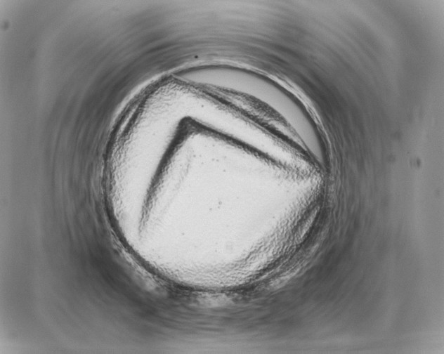 X0000087690799200706011718