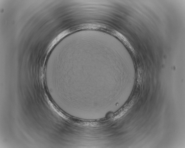 X0000087690802200706011718
