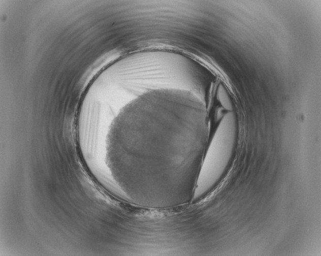 X0000087690806200706011718