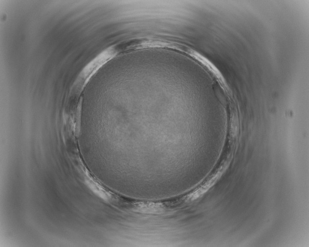 X0000087690809200706011718