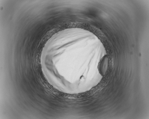 X0000087690819200706011717