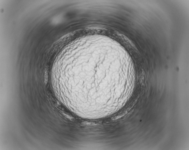 X0000087690821200706011717