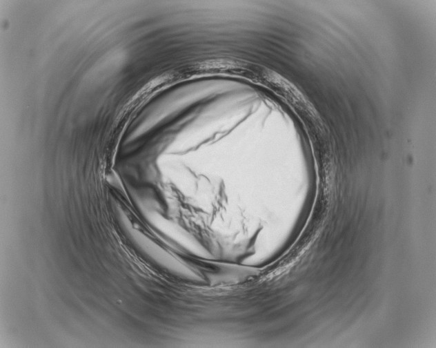 X0000087690825200706011717