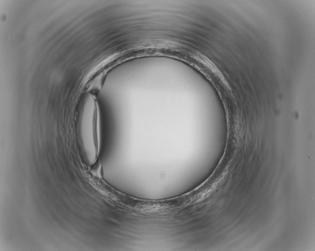 X0000087690826200706011717