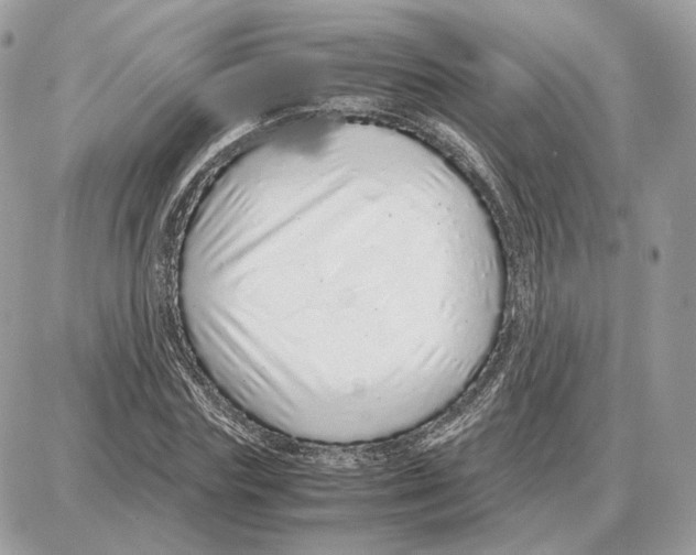 X0000087690827200706011717