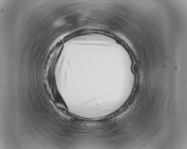 X0000087690829200706011717