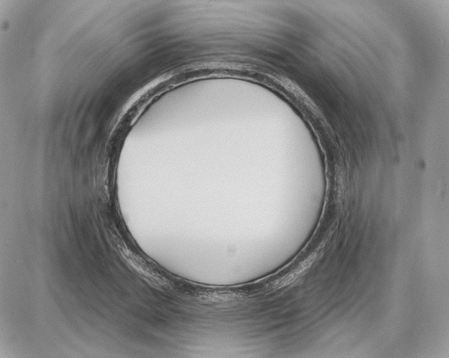 X0000087690830200706011717