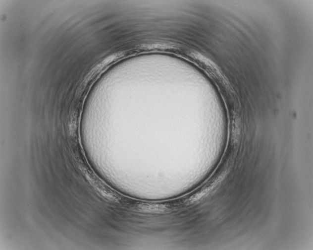 X0000087690833200706011717