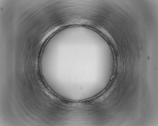 X0000087690834200706011717