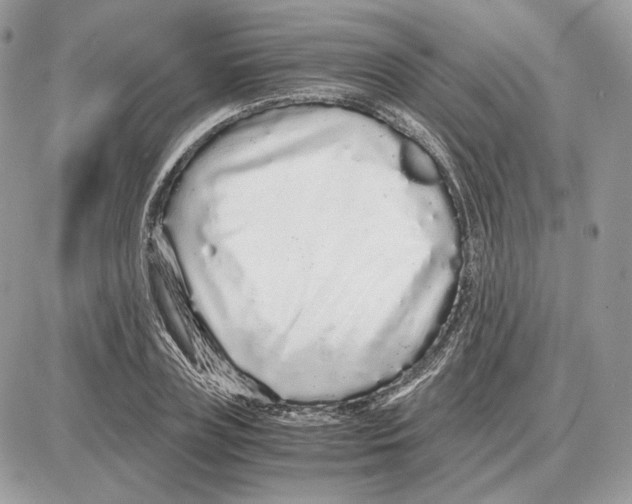 X0000087690835200706011717