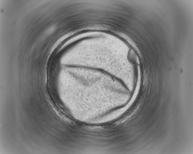X0000087690837200706011717