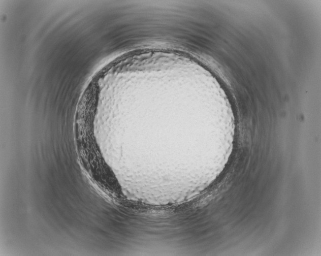 X0000087690839200706011717