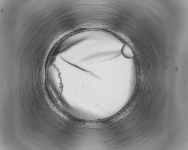 X0000087690840200706011717