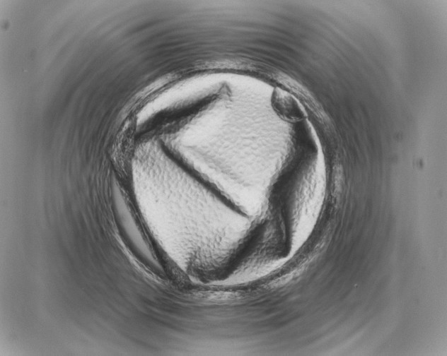 X0000087690841200706011717
