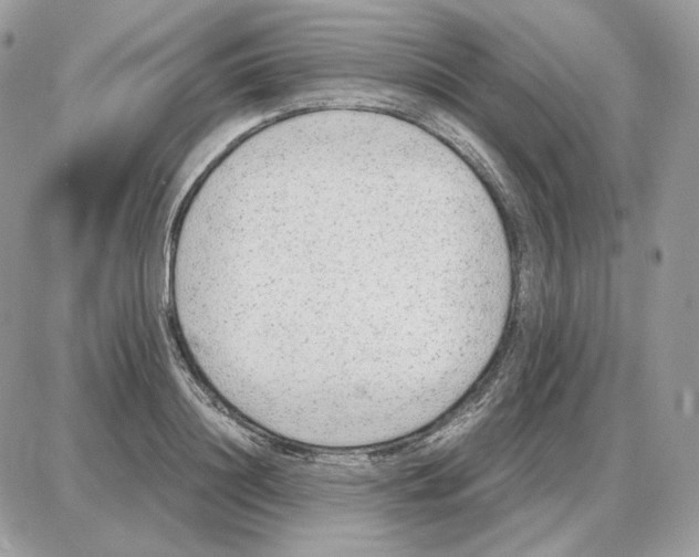 X0000087690844200706011717