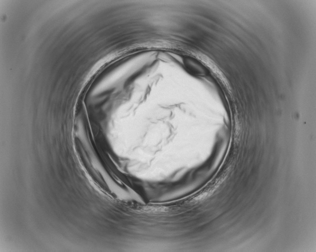 X0000087690845200706011717