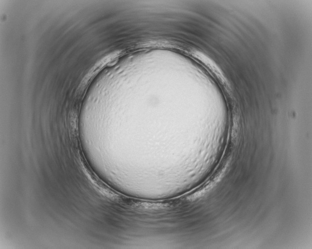 X0000087690849200706011717