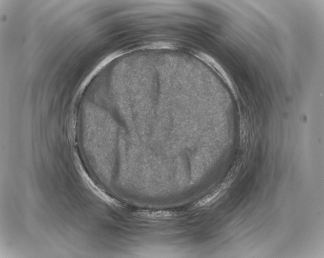 X0000087690851200706011717