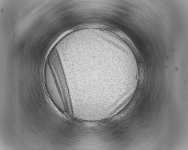 X0000087690852200706011717