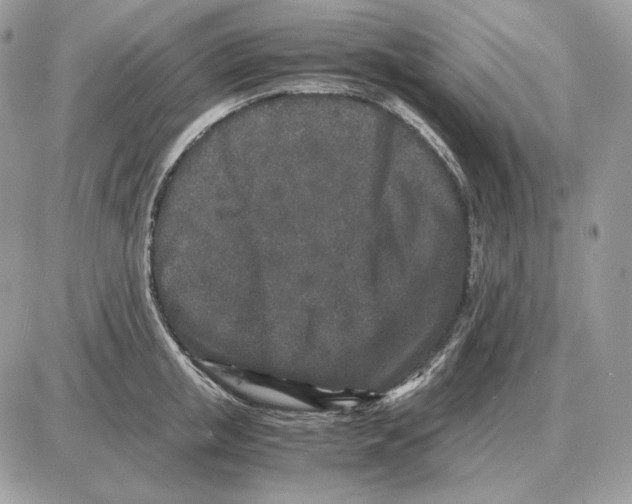 X0000087690853200706011717