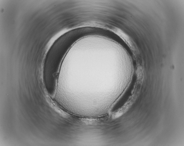 X0000087690854200706011717