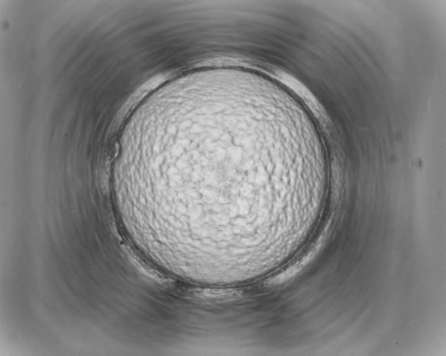 X0000087690857200706011717