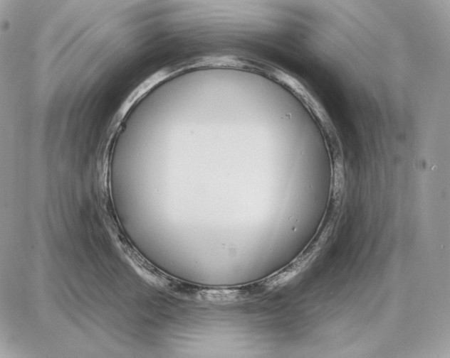 X0000087690858200706011717