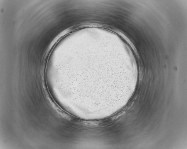 X0000087690861200706011717