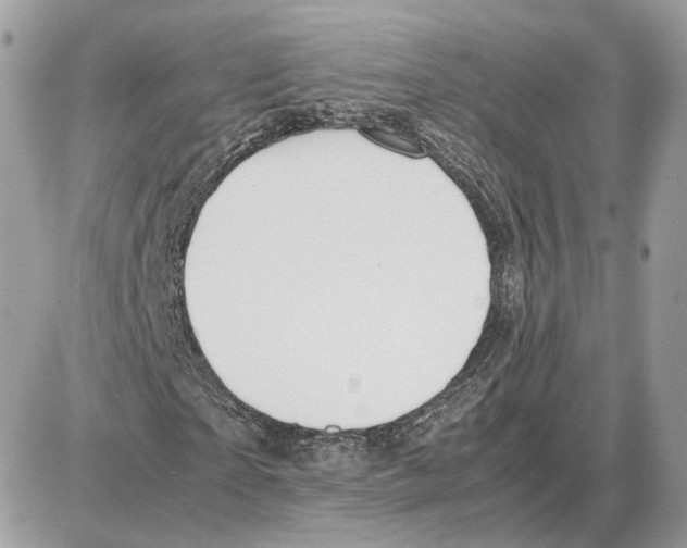 X0000087690865200706011717