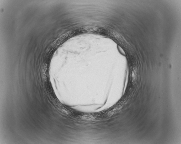 X0000087690867200706011717